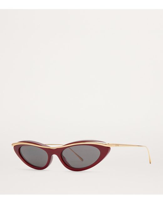 Loewe Pink Whirl Cat Eye Sunglasses