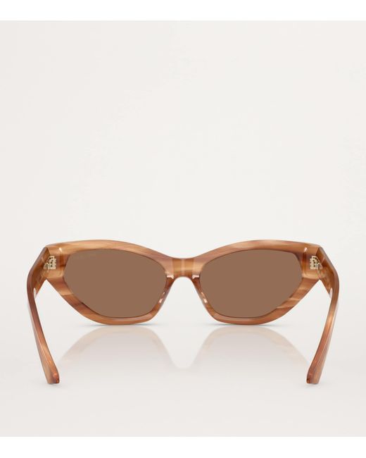 Jimmy Choo Brown Acetate Jc5022B Sunglasses