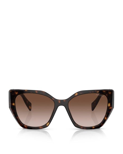 Prada Brown Acetate Pr 19Zs Sunglasses