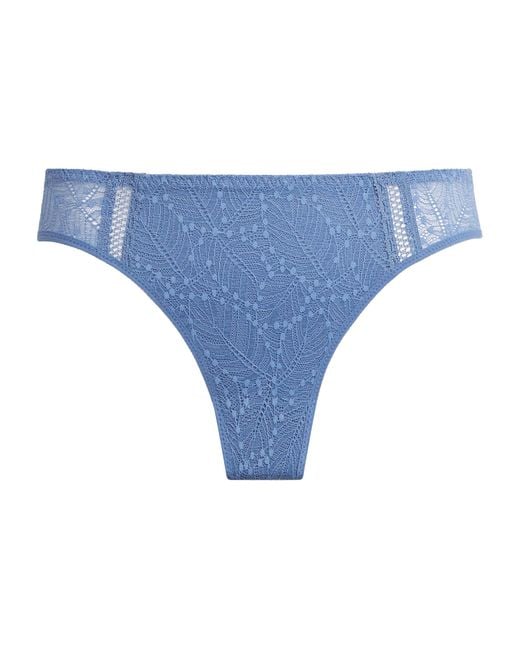 Simone Perele Blue Lace Comète Briefs