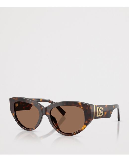 Dolce & Gabbana Brown Tortoiseshell Cat Eye Sunglasses