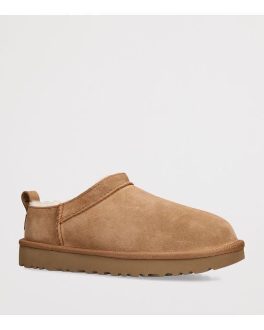 Ugg Brown Suede Classic Micro Boots