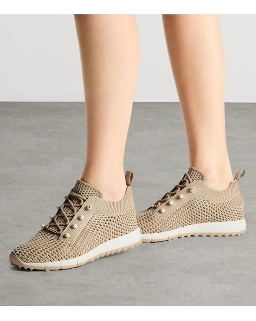 Jimmy Choo Brown Embellished Veles Sneakers