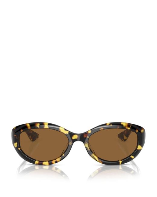 Oliver Peoples Brown Acetate 1969C Sunglasses