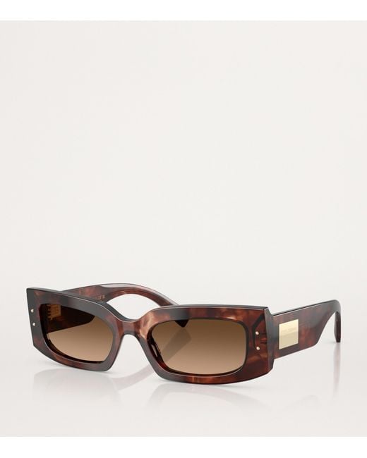 Dolce & Gabbana Brown Acetate Rectangular Sunglasses