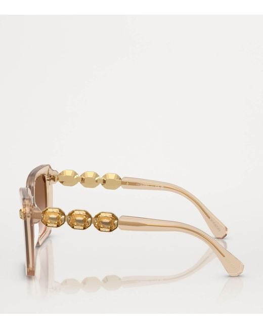 Swarovski Brown Acetate Sk6032 Sunglasses