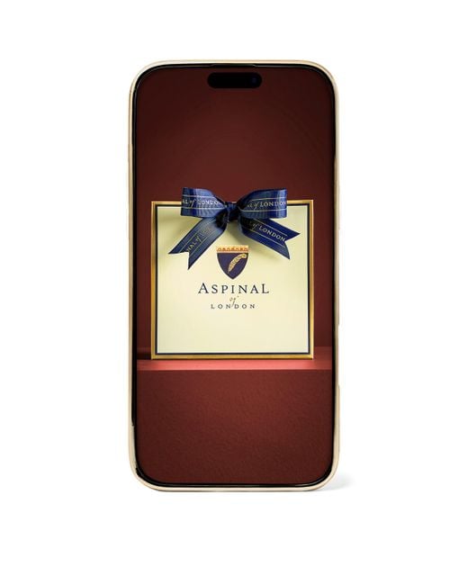 Aspinal Green Leather Iphone 16 Pro Max Case