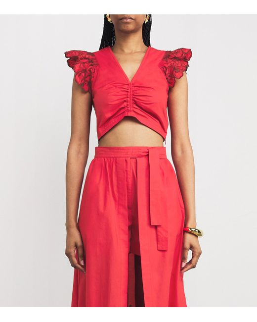 Sandro Embroidered Crop Top