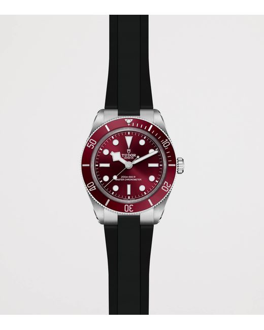 Tudor Red Bay 58 Stainless Steel Watch for men