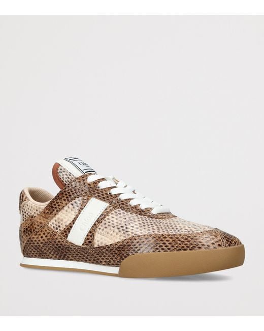 Chloé Brown Snake-Embossed Leather Kick Sneakers