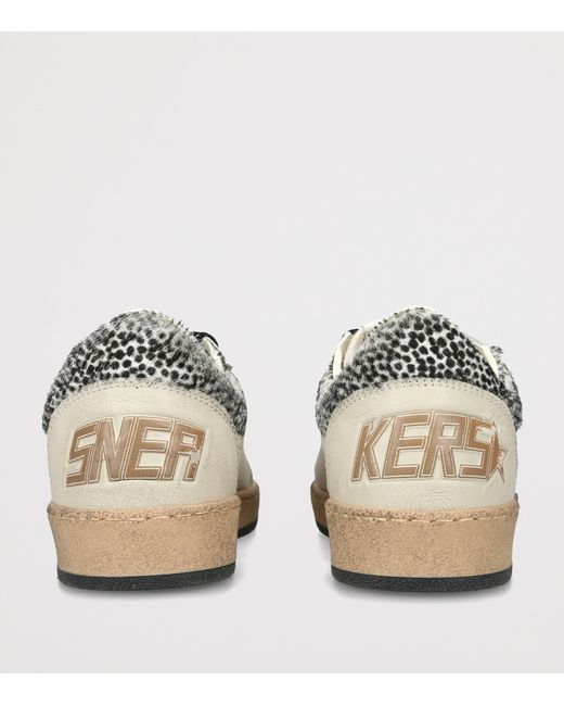 Golden Goose Deluxe Brand Brown Leather Ball Star Sneakers