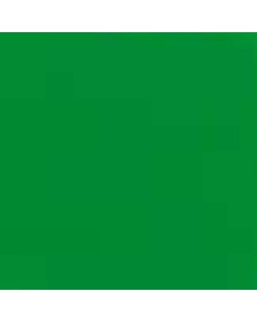 Bottega Veneta Green Acetate 06J000394 Sunglasses