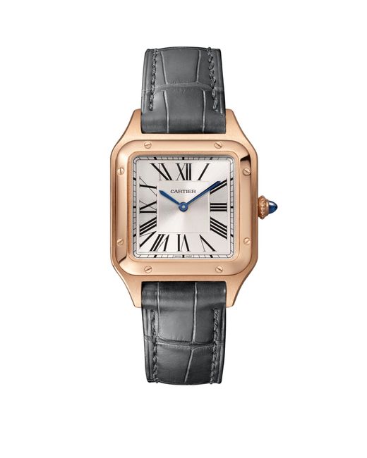 Cartier Gray Rose Gold Santos-dumont Watch 27.5mm