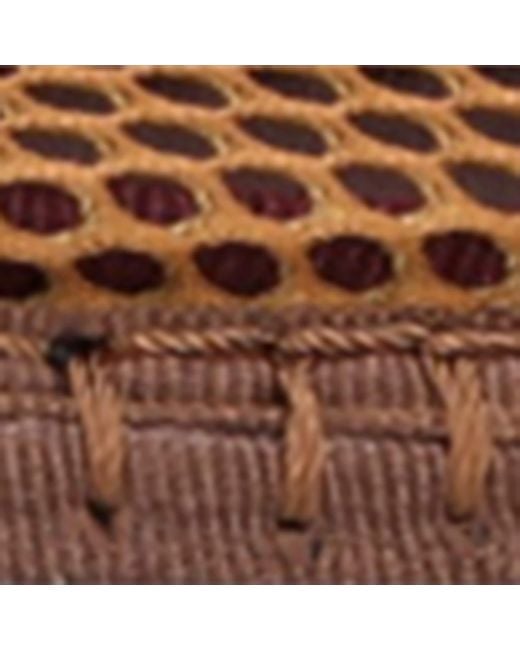 Flabelus Brown Mesh Isabella Ballet Flats