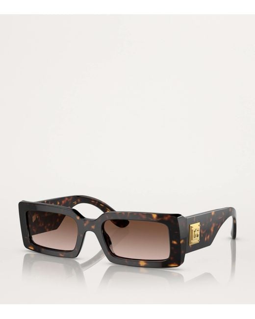 Dolce & Gabbana Brown Acetate Rectangle Sunglasses