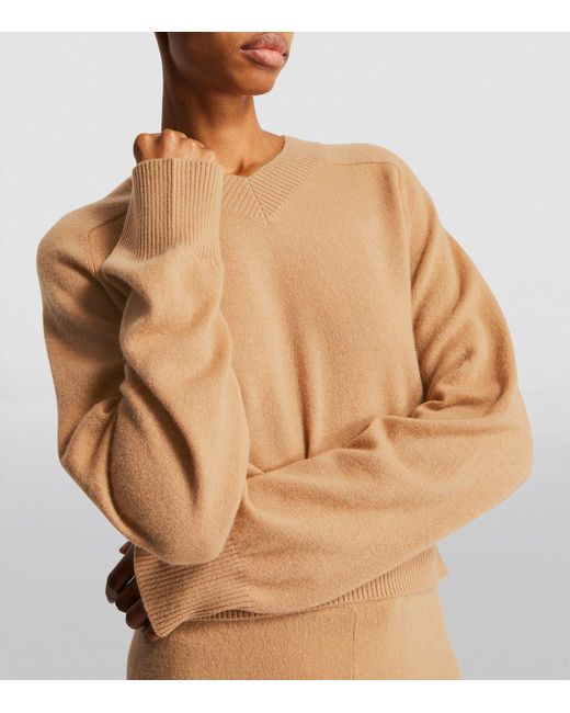 Drake in deals sweater