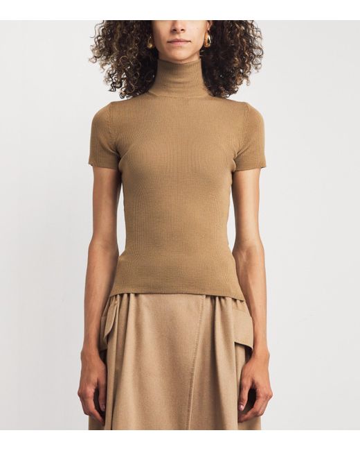 Max Mara Brown Wool Short-Sleeve Sweater