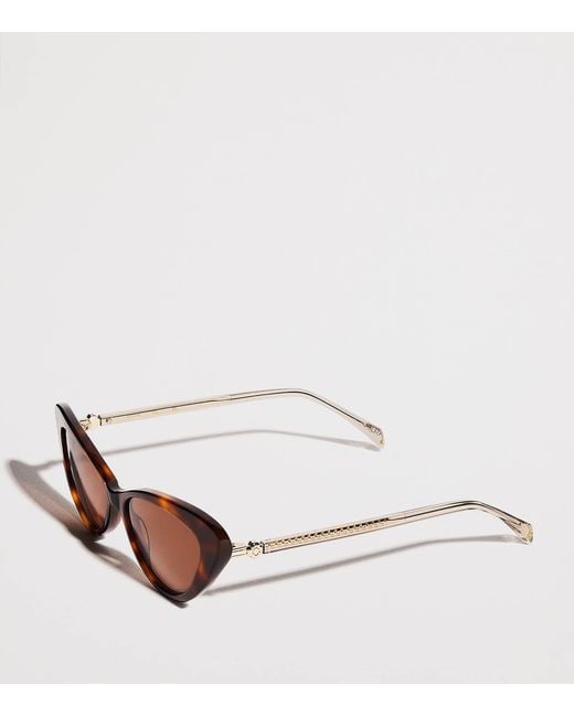 Maje Brown Acetate Cat Eye Sunglasses