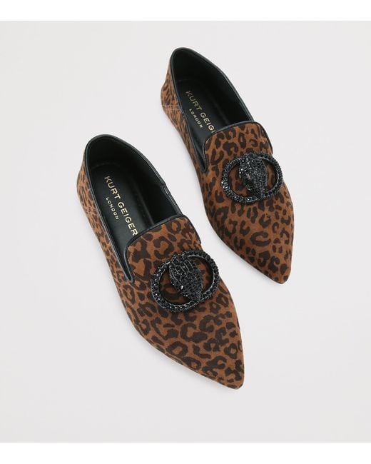 Kurt Geiger Brown Suede Chelsea Point Loafers