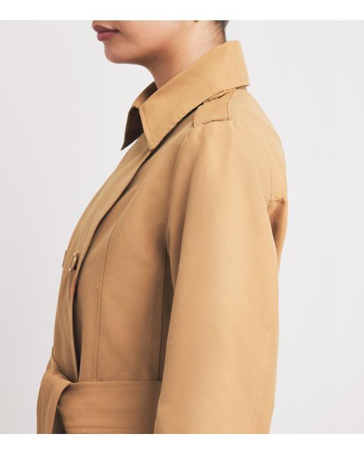 MAX&Co. Natural Cotton-Blend Trench Coat