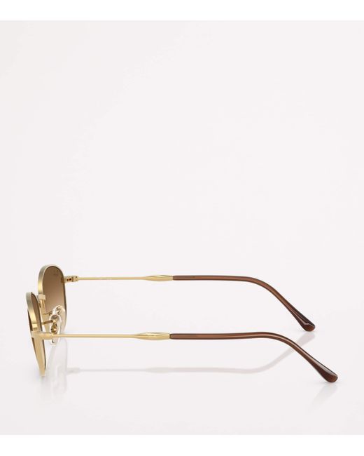 Ray-Ban Natural Rb3749 Irregular Sunglasses