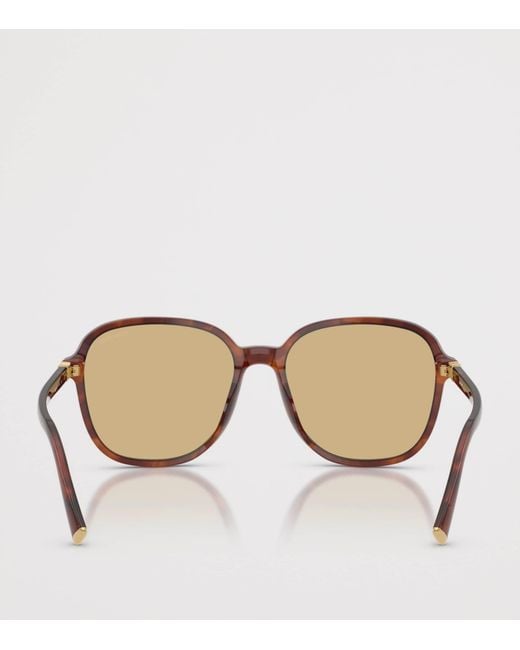 Miu Miu Brown Pillow Sunglasses