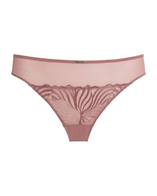 Chantelle Pink Lace Legend Tanga Briefs