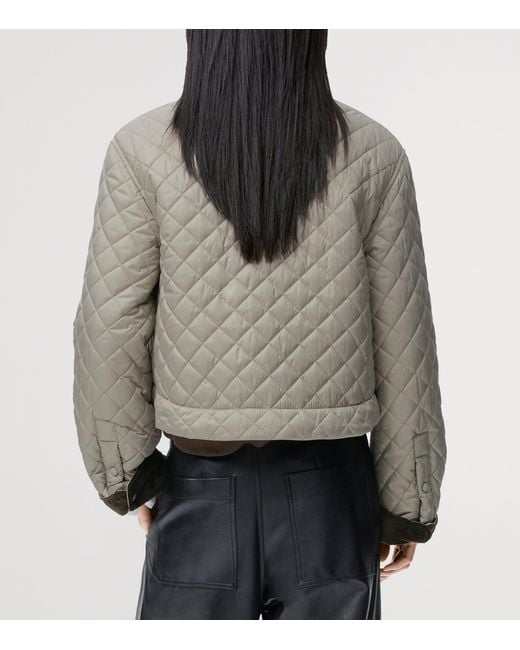 Loewe Gray Corduroy-Collar Quilted Jacket