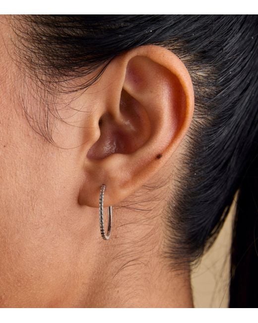 Astrid & Miyu Metallic Ridged Hoop Earrings