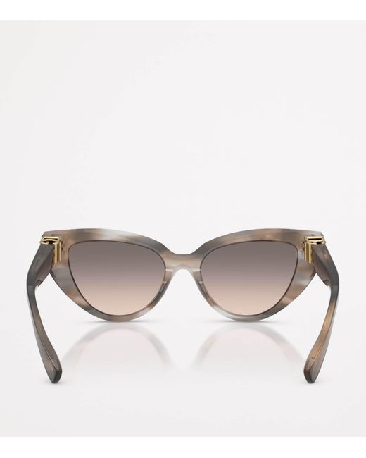Dolce & Gabbana Brown Cat Eye Sunglasses