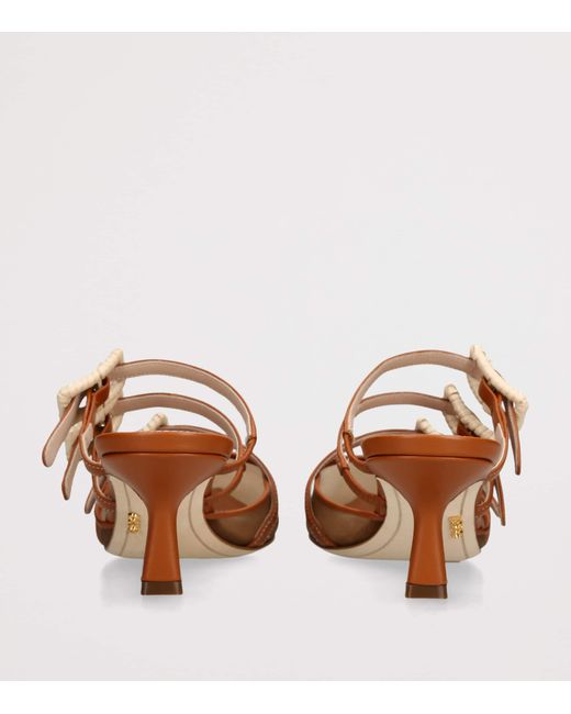 Rodo Brown Leather Paige Heeled Mules 55