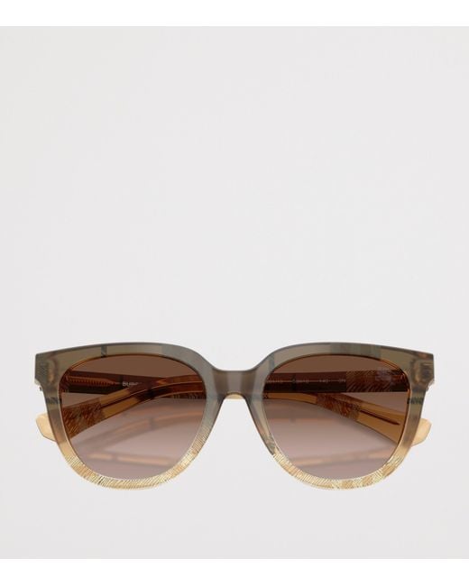 Burberry Brown Acetate Be4469 Phantos Sunglasses