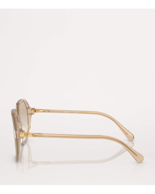 Swarovski Natural Oversized Sk6003 Sunglasses