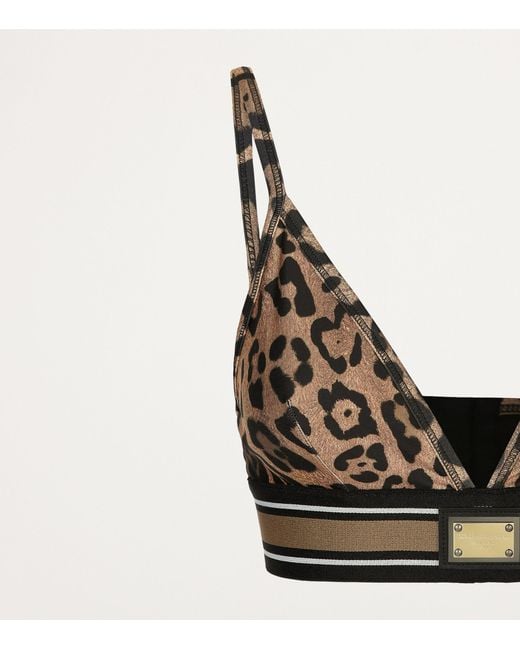 Dolce & Gabbana Brown Leopard Print Bralette Top