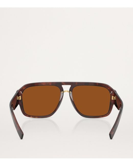 Dolce & Gabbana Brown Acetate Pilot Sunglasses for men