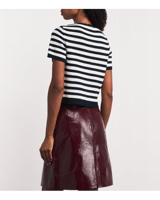 Maje Blue Cropped Stripe Cardigan