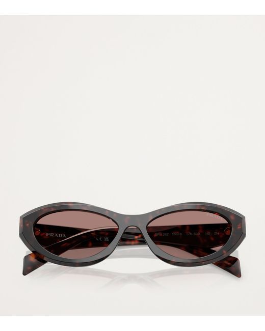 Prada Brown Acetate Pr26Zs Sunglasses