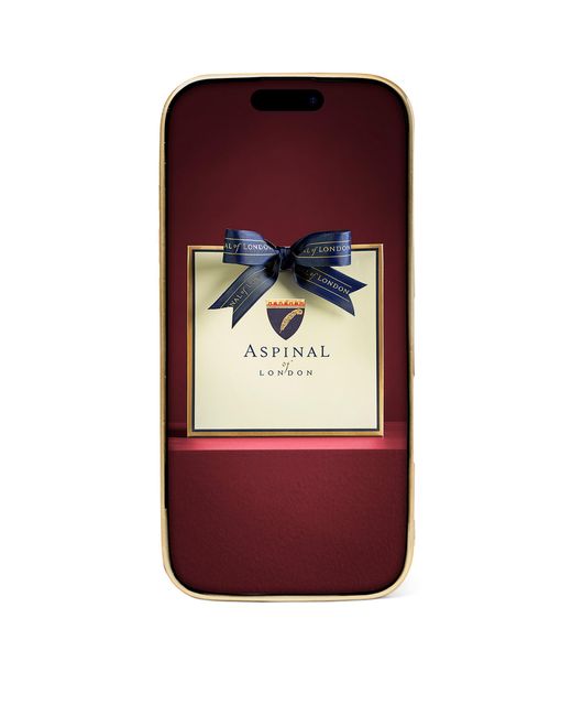 Aspinal Brown Leather Iphone 16 Pro Case