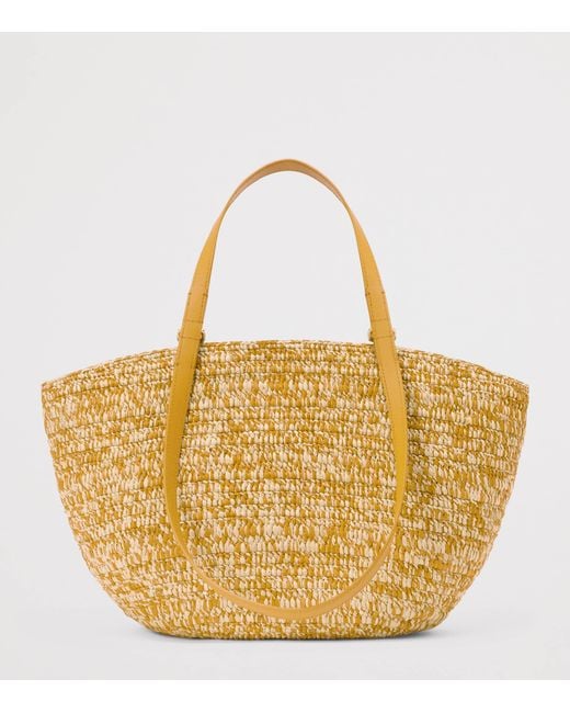 Loewe Metallic X Paula's Ibiza Medium Eclipse Basket Bag