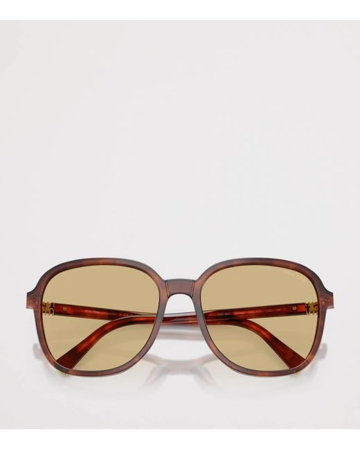 Miu Miu Brown Pillow Sunglasses