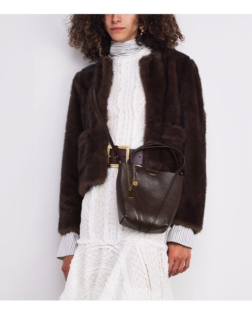 Chloé Brown Small Calfskin Spin Tote Bag