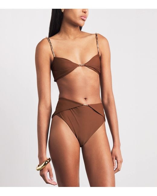 Devon Windsor Brown Emmie Bikini Top