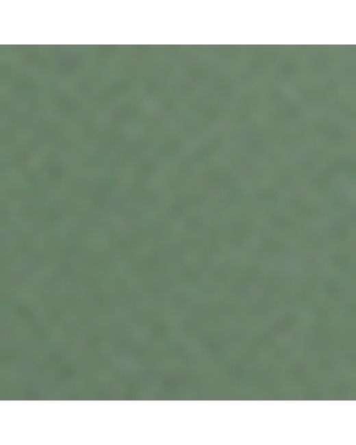 Loewe Green Small Butterfly Screen Sunglasses