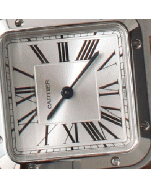 Cartier Blue Steel Santos-dumont Watch 27.5mm