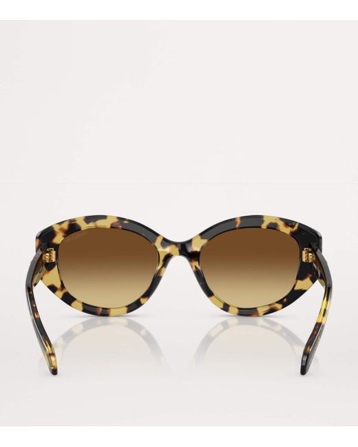 Swarovski Brown Oval Sk6005 Sunglasses