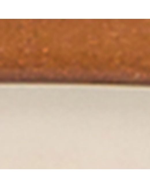 Alexandre De Paris Brown Plated Claw Hair Clip