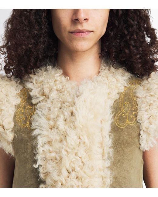Etro Metallic Shearling Embroidered Gilet