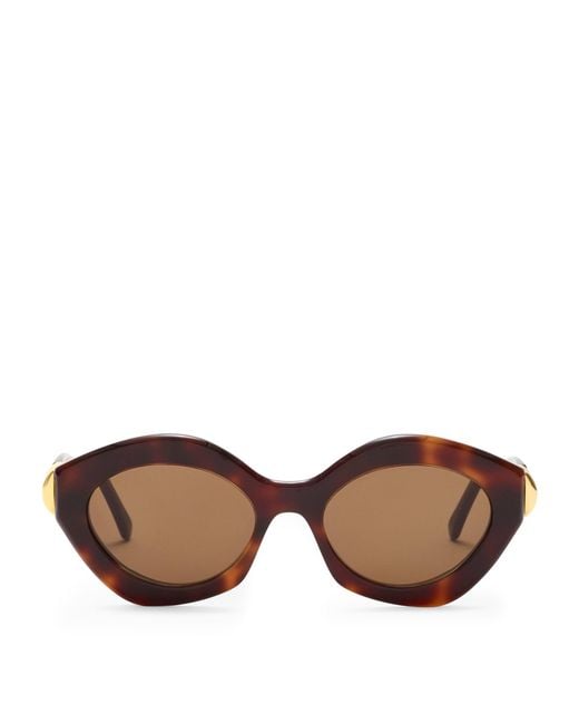 Loewe Brown Acetate Coil Cat Eye Sunglasses