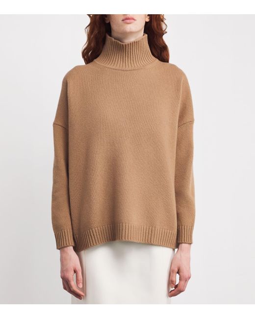 Weekend by Maxmara Brown Virgin Wool High-Neck Sweater