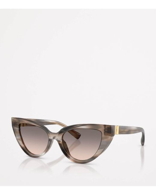 Dolce & Gabbana Brown Cat Eye Sunglasses